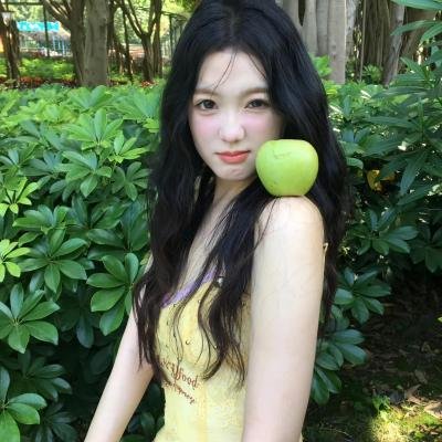 狮子护卫队第一季